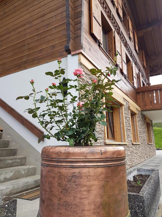 Chalet Grueneggli ادلبودن المظهر الخارجي الصورة