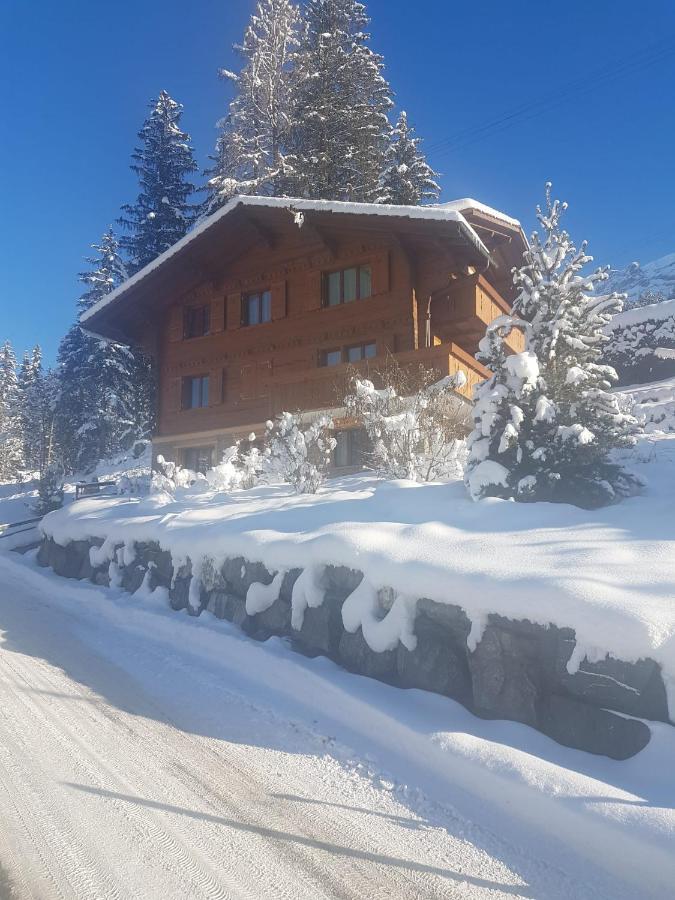 Chalet Grueneggli ادلبودن المظهر الخارجي الصورة