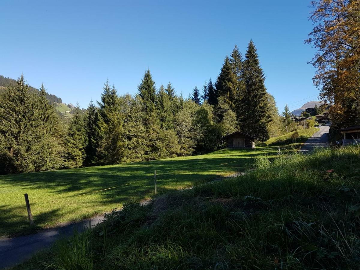 Chalet Grueneggli ادلبودن المظهر الخارجي الصورة